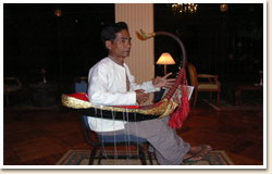 ビルマの竪琴の実演