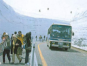 雪の回廊を走るバス
